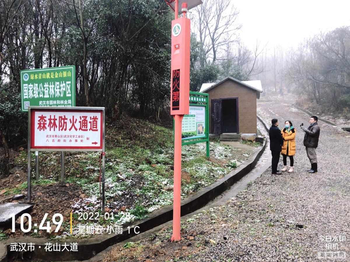武漢織密森林“防火網”！千余護林員每日巡查 智能攝像頭監控90萬畝生態林