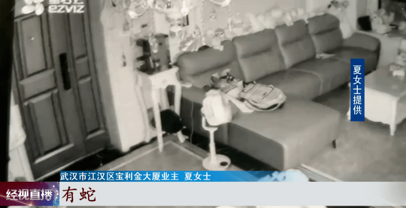 專業監控安裝_武漢監控安裝_武漢安裝監控的公司