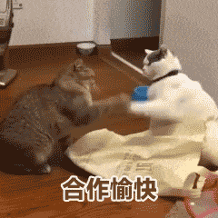 it運(yùn)維 it服務(wù)_it外包公司_it外包服務(wù)