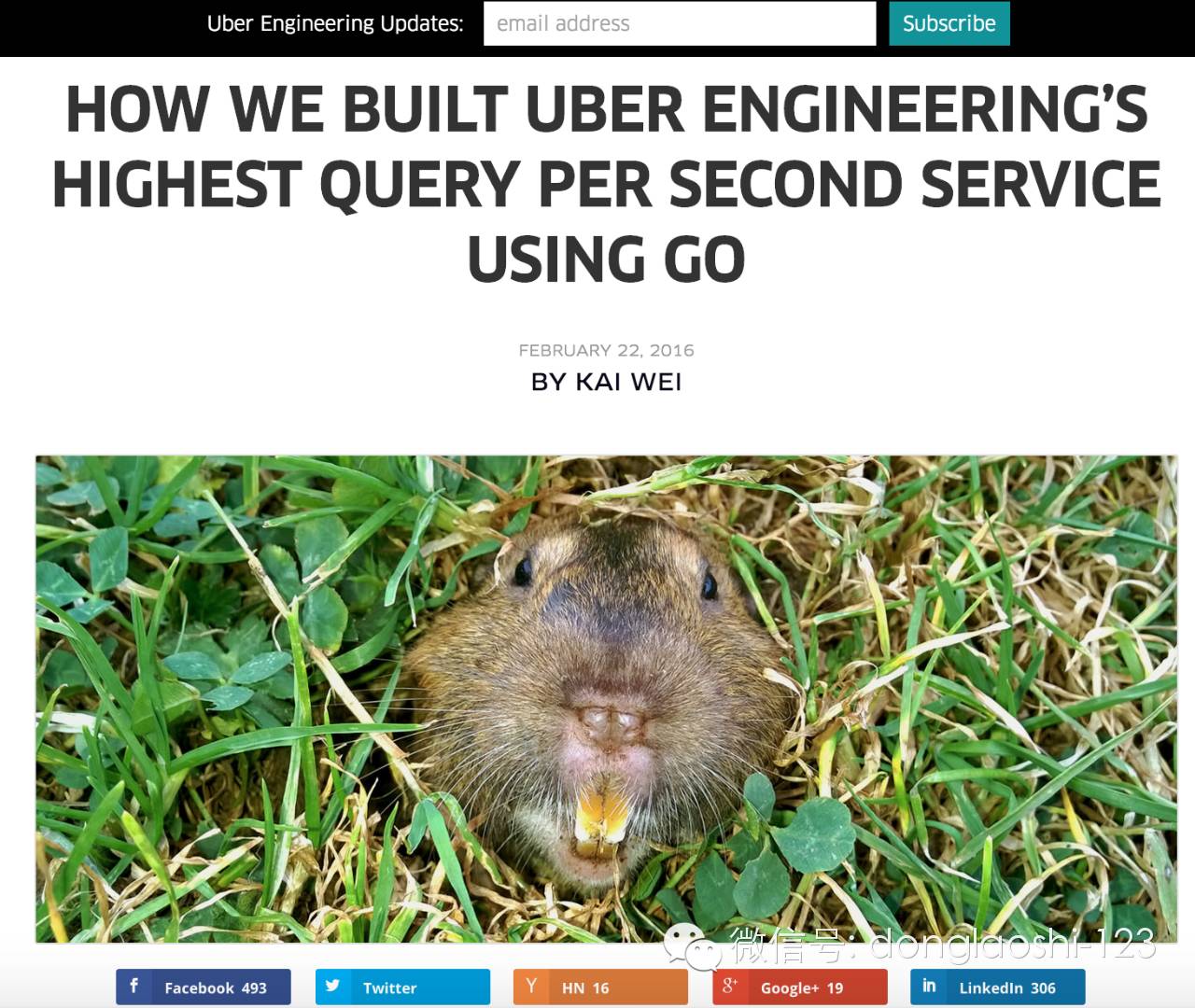 it技術(shù)公司_國內(nèi)最好的it技術(shù)博客_it公司 互聯(lián)網(wǎng)公司